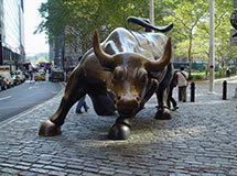 Famous bull, New York City, USA