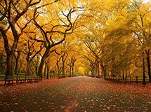 Central Park in autunno, New York City, Stati Uniti d'America